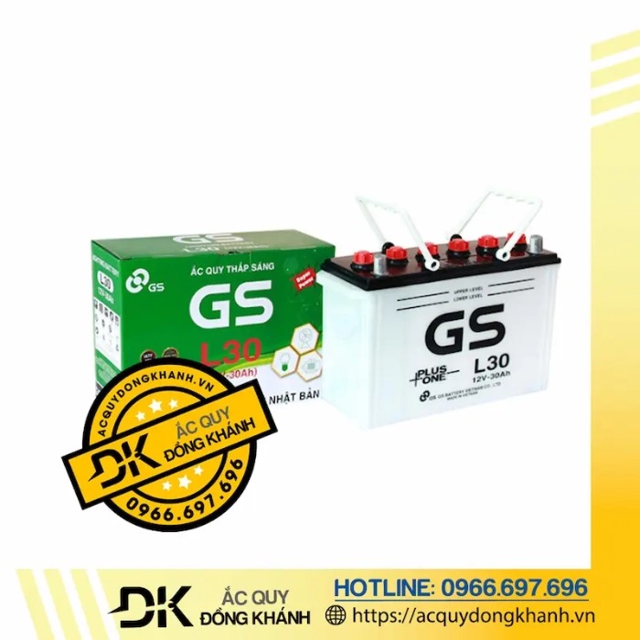 Bảng giá bình ắc quy GS 12V 30Ah