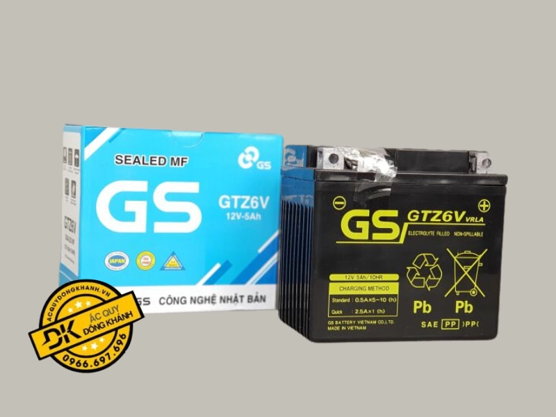 Bình ắc quy GS GTZ6V