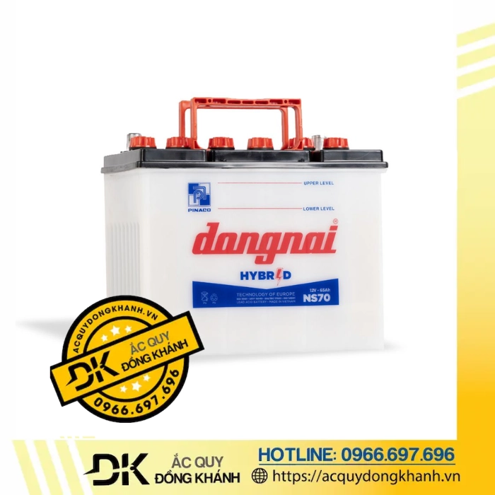 Ắc quy Đồng Nai 12V 65AH NS70