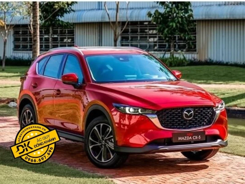 Bình ắc quy Delkor 65ah dùng được cho loại xe nào?